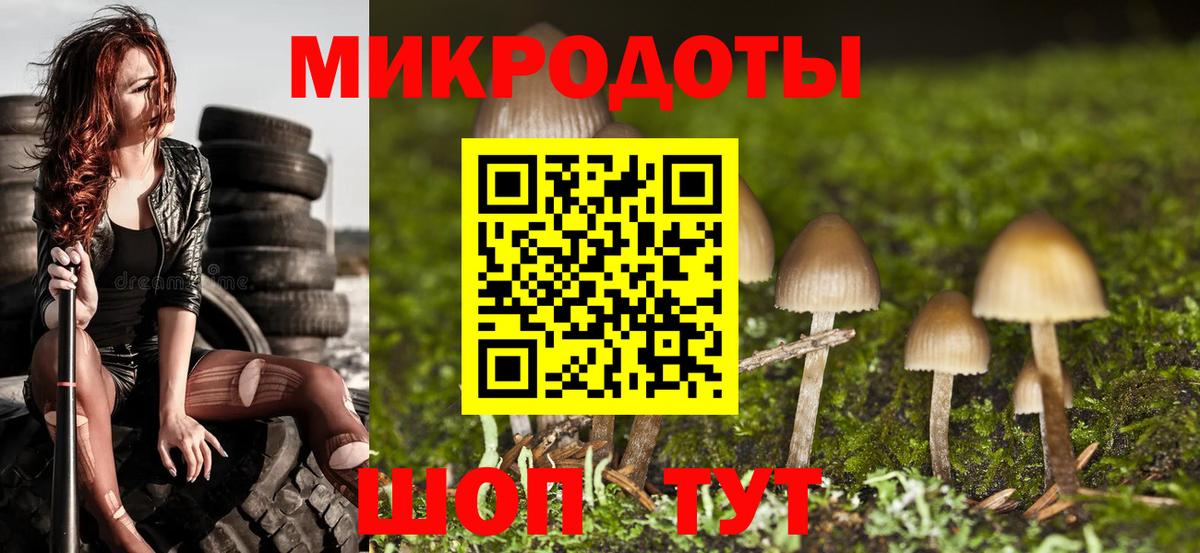 Елец  Галлюциногенные грибы Magic Shrooms  Вход с VPN 